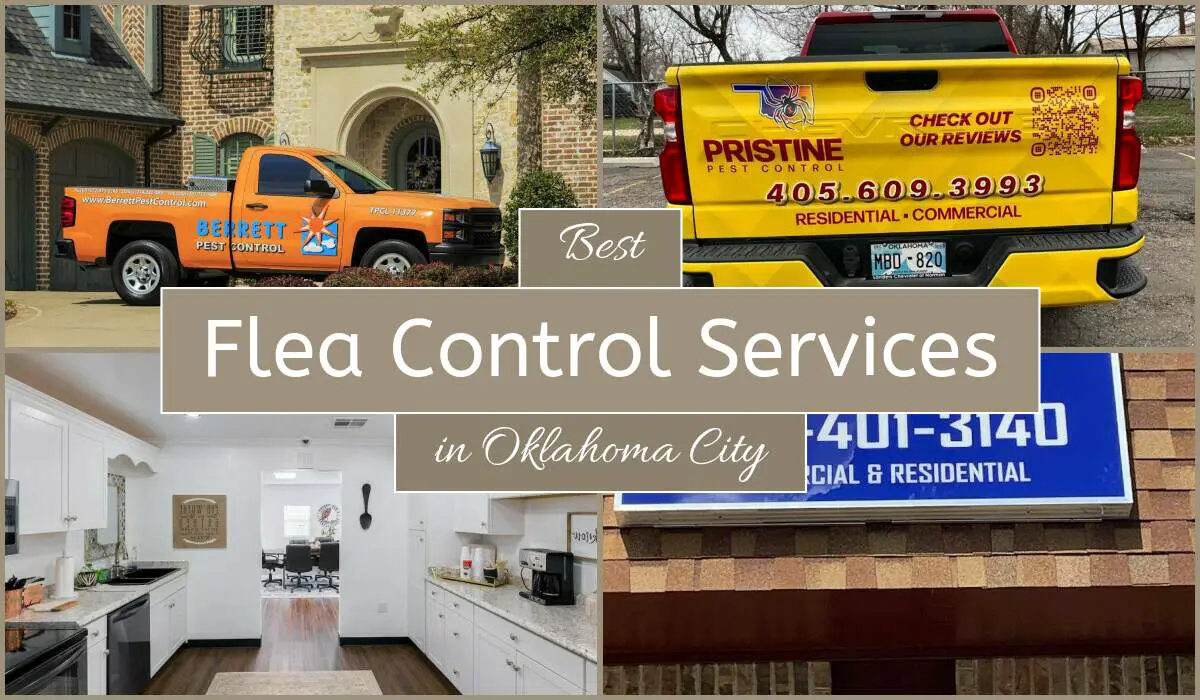 Best Flea Control Services In Oklahoma City
