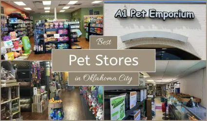 Best Pet Stores In Oklahoma City