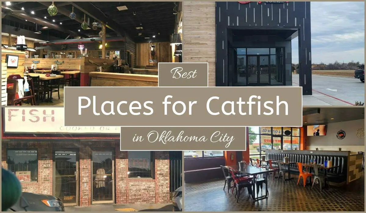 Best Places For Catfish In Oklahoma City